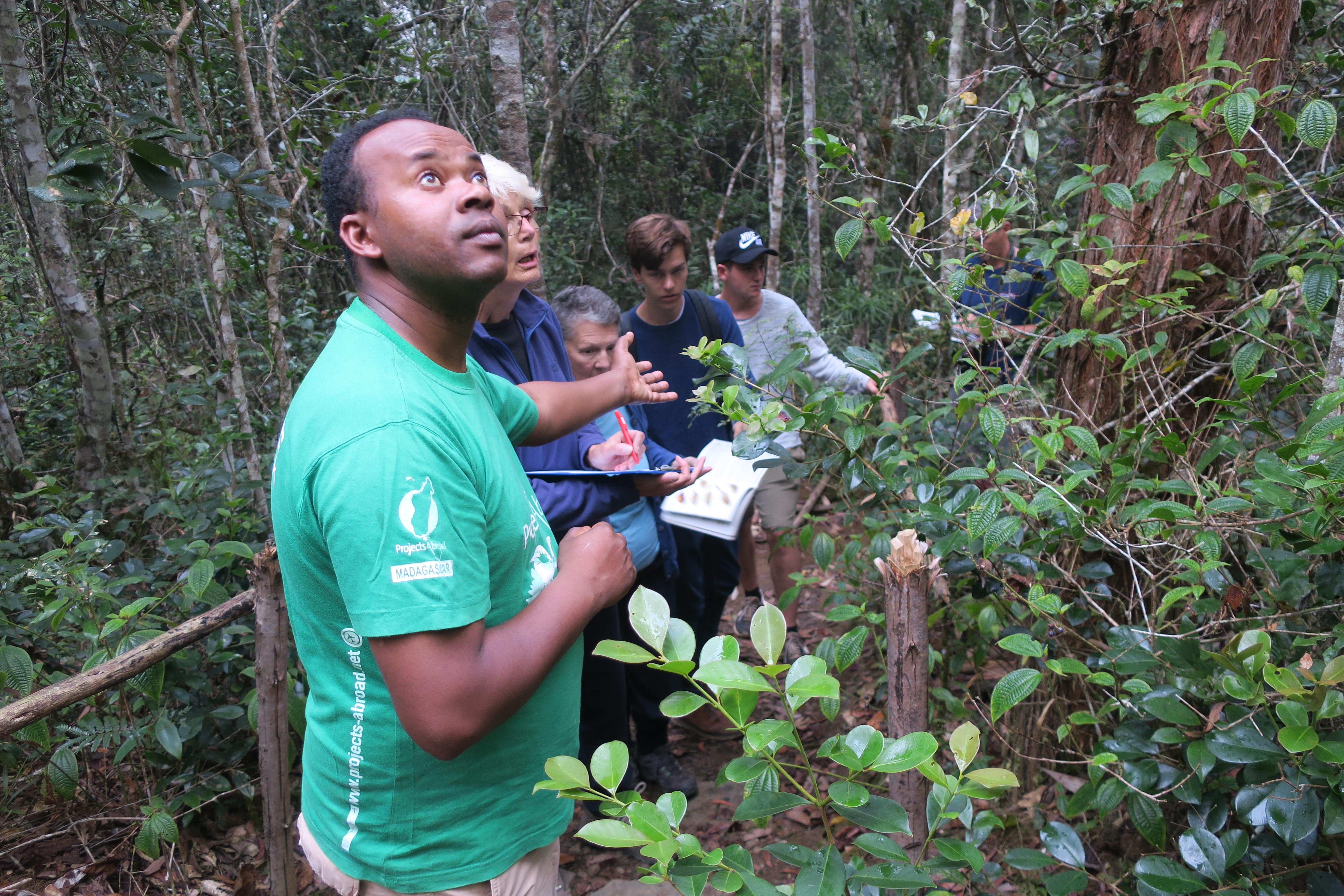 An intern conducting a bird survey during his rainforest conservation volunteering in madagascar with Projects Abroad. An intern is seen conducting a bird survey whilst on his rainforest conservation volunteering in madagascar with Projects Abroad.